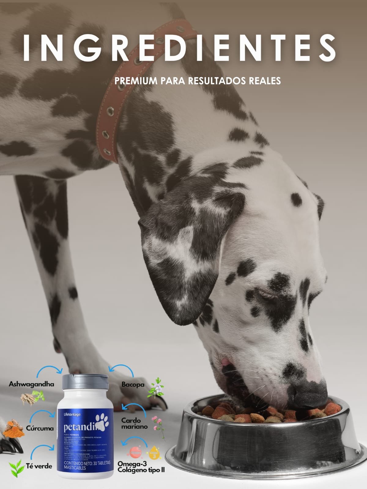 Petandim y sus ingredientes para acompañar el bienestar de las mascotas